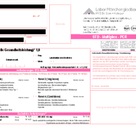 STD Anforderungsschein 