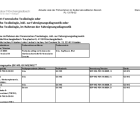 Liste flex. akkr. Parameter Forensik