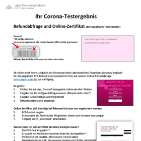 Anleitung Corona Online Zertifikat